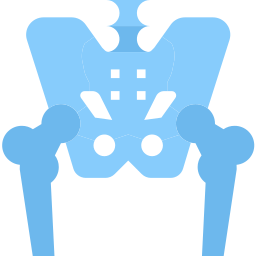 Pelvis icon