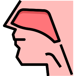 Otorhinolaryngology icon