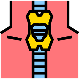 glande thyroïde Icône