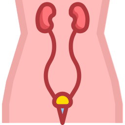 urologia icona