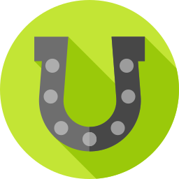 Horseshoe icon