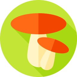 Mushroom icon