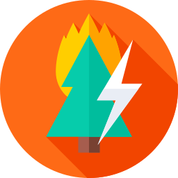 Forest fire icon