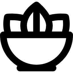 salat icon