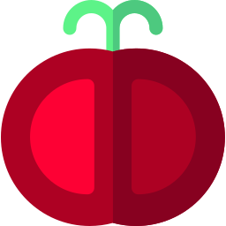 tomate Ícone