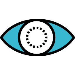 vision icon