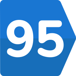 95 icon