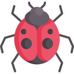 Ladybug icon