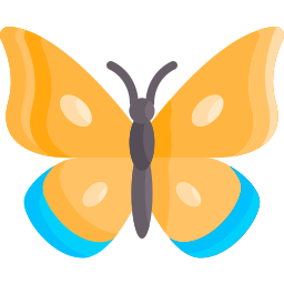 Butterfly icon