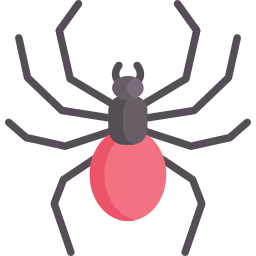 spinne icon