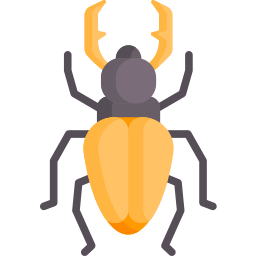 Beetle icon