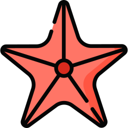 Starfish icon