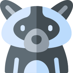 Racoon icon