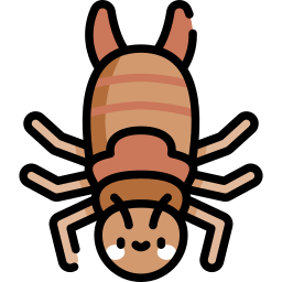 Earwig icon