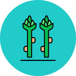 Asparagus icon