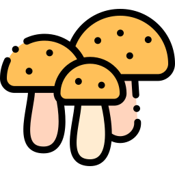 Mushrooms icon