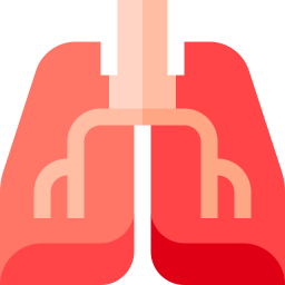 Lungs icon