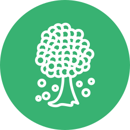 Tree icon