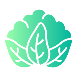 blumenkohl icon