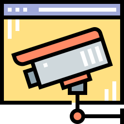 Web security icon