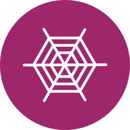 spinnennetz icon