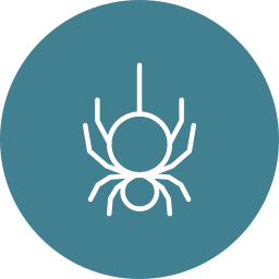 spinne icon