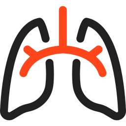 Lungs icon