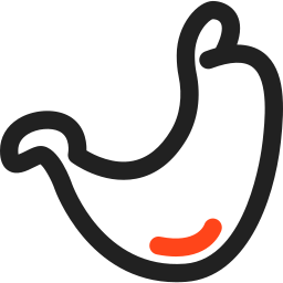 Stomach icon