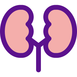 Kidneys icon