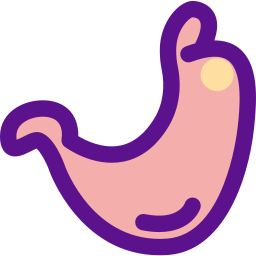 Stomach icon