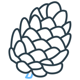 Pine cone icon