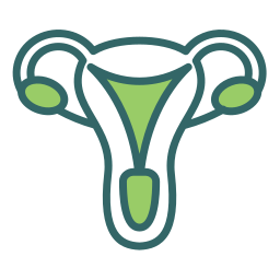 Uterus icon