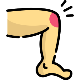 knie icon