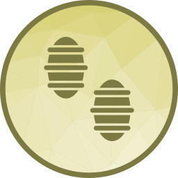 gnocchi icon