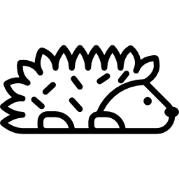 ハリネズミ icon