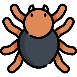 tarantula icoon