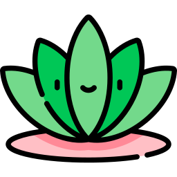 lotus icoon