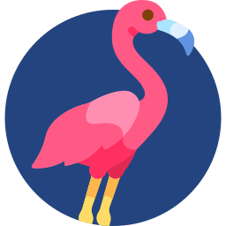 Flamingo Ícone