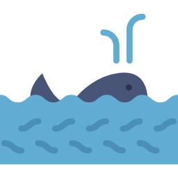 Whale icon