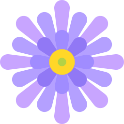 Aster icon