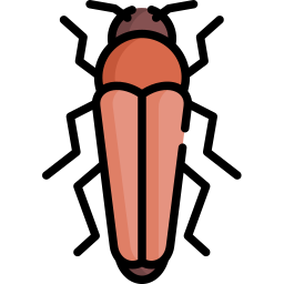 Bug icon