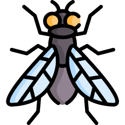 Fly icon