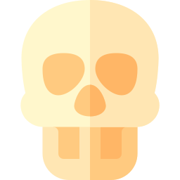 Skull icon