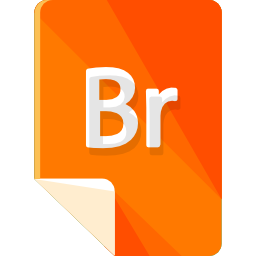 BR icon