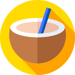 Coconut drink icon