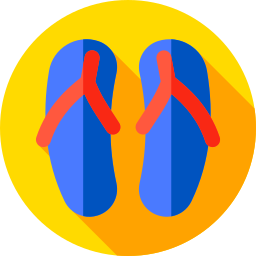 flip flops icon