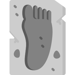 Footprint icon