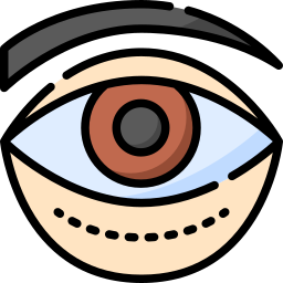 blepharoplastik icon