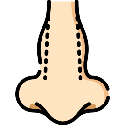 rhinoplastie Icône