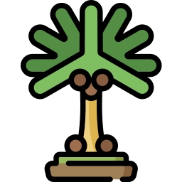 Coconut tree icon